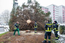 19.11.2022 Christbaum für die Kremser Feuerwehr